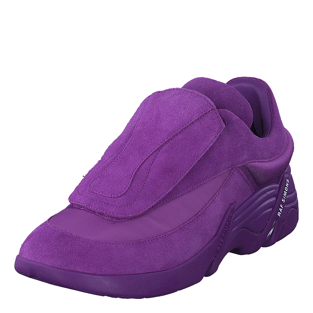 Antei Purple