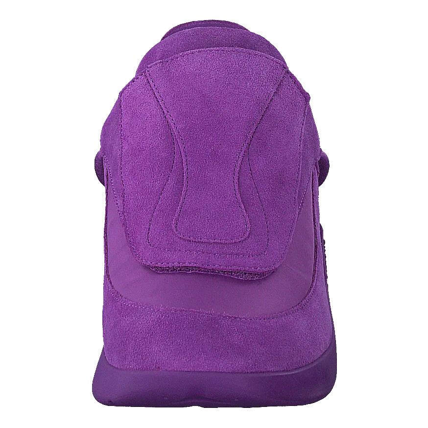 Antei Purple