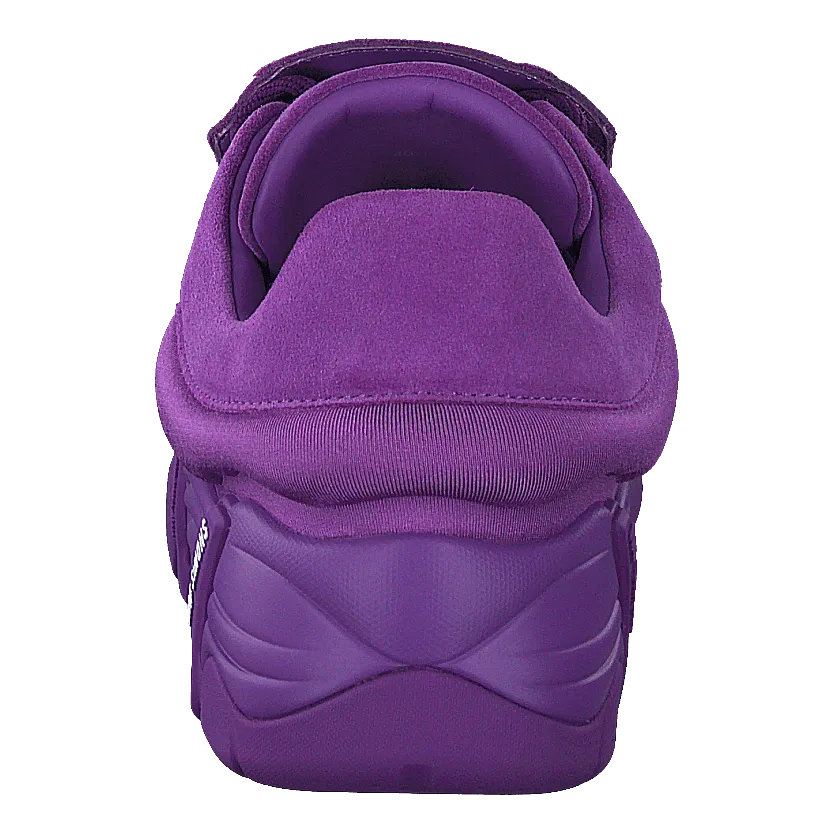 Antei Purple