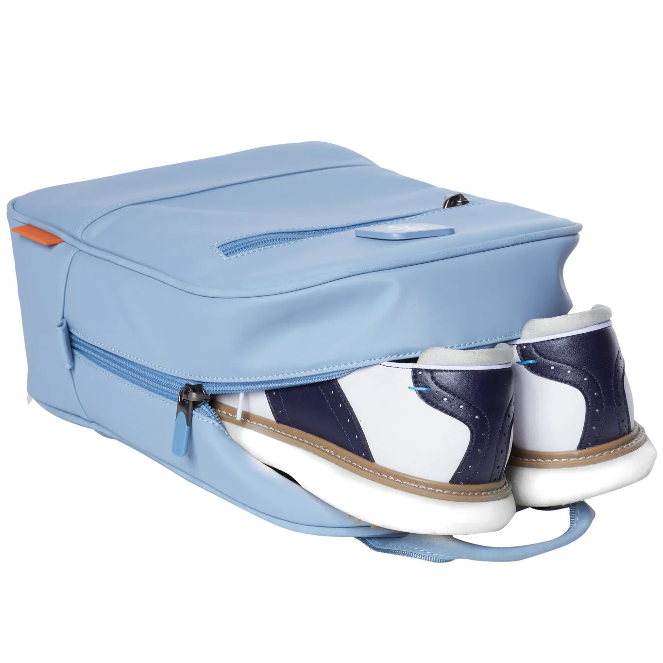 Shoe Bag